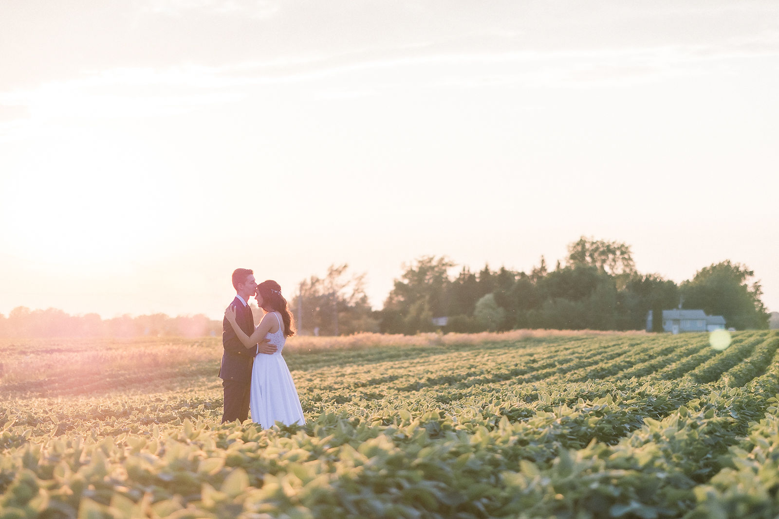 Wedding Video